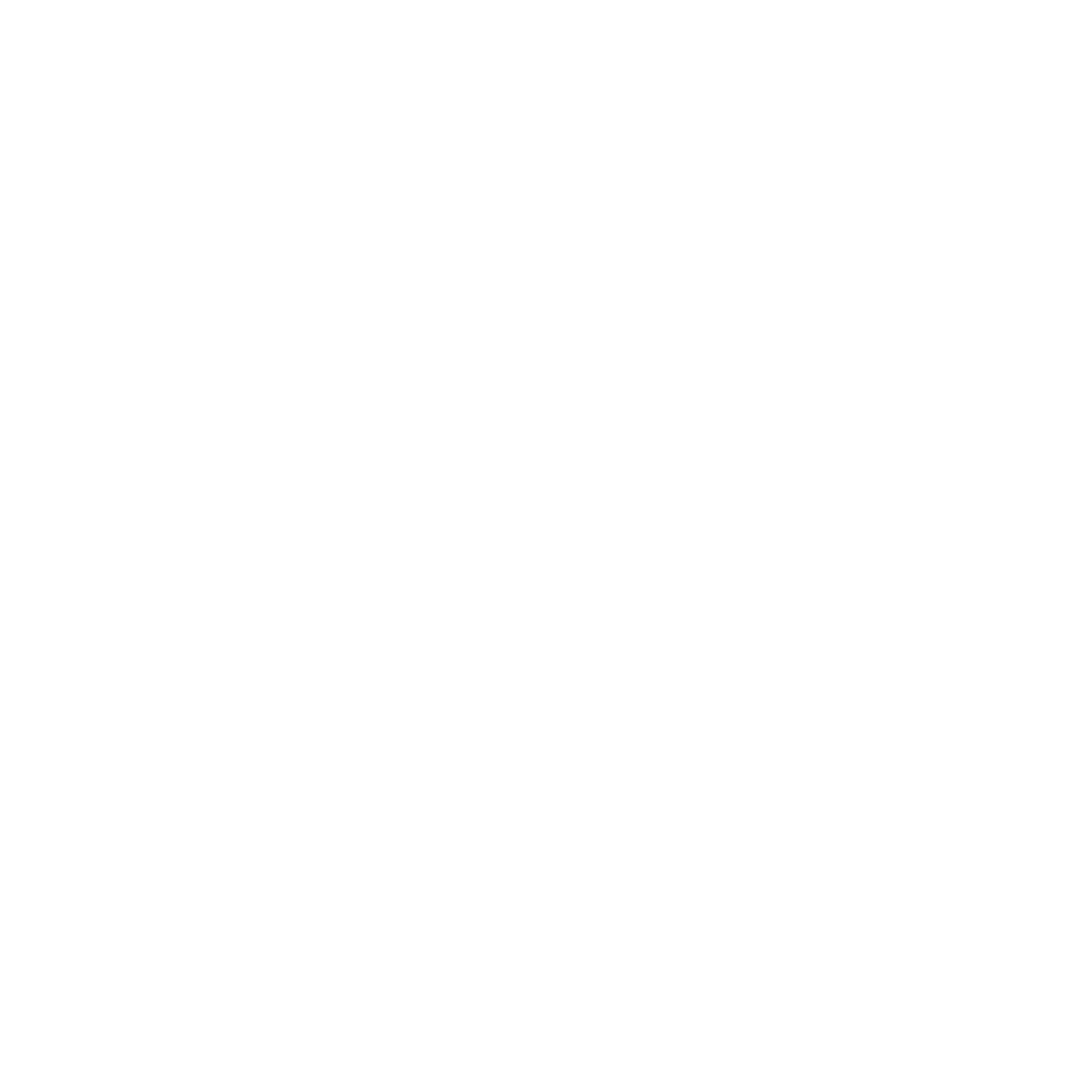 logo icone blanc